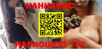 сатива Малгобек