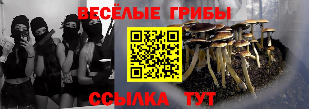 Галлюциногенные грибы Psilocybine cubensis Жигулёвск